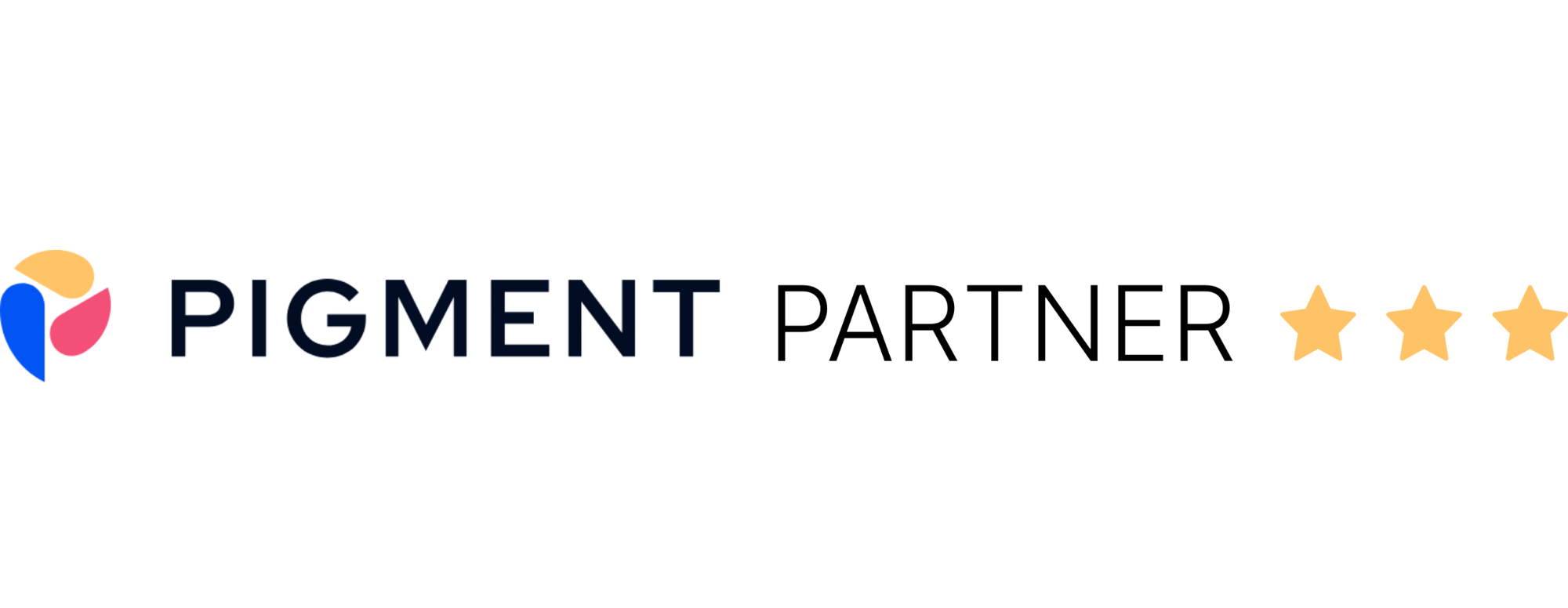 Pigment Partner – 1-1